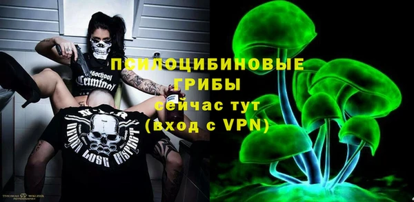 круглые Карпинск