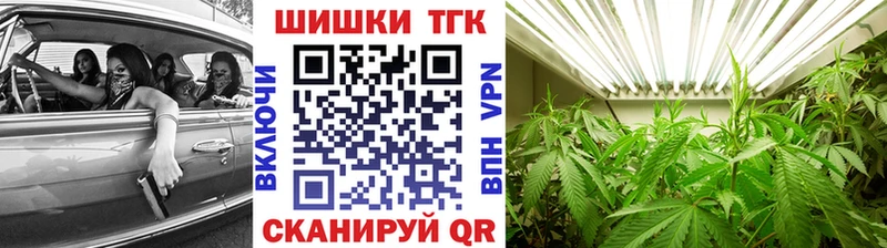 Купить закладки  Салехард  Шишки марихуана гибрид 